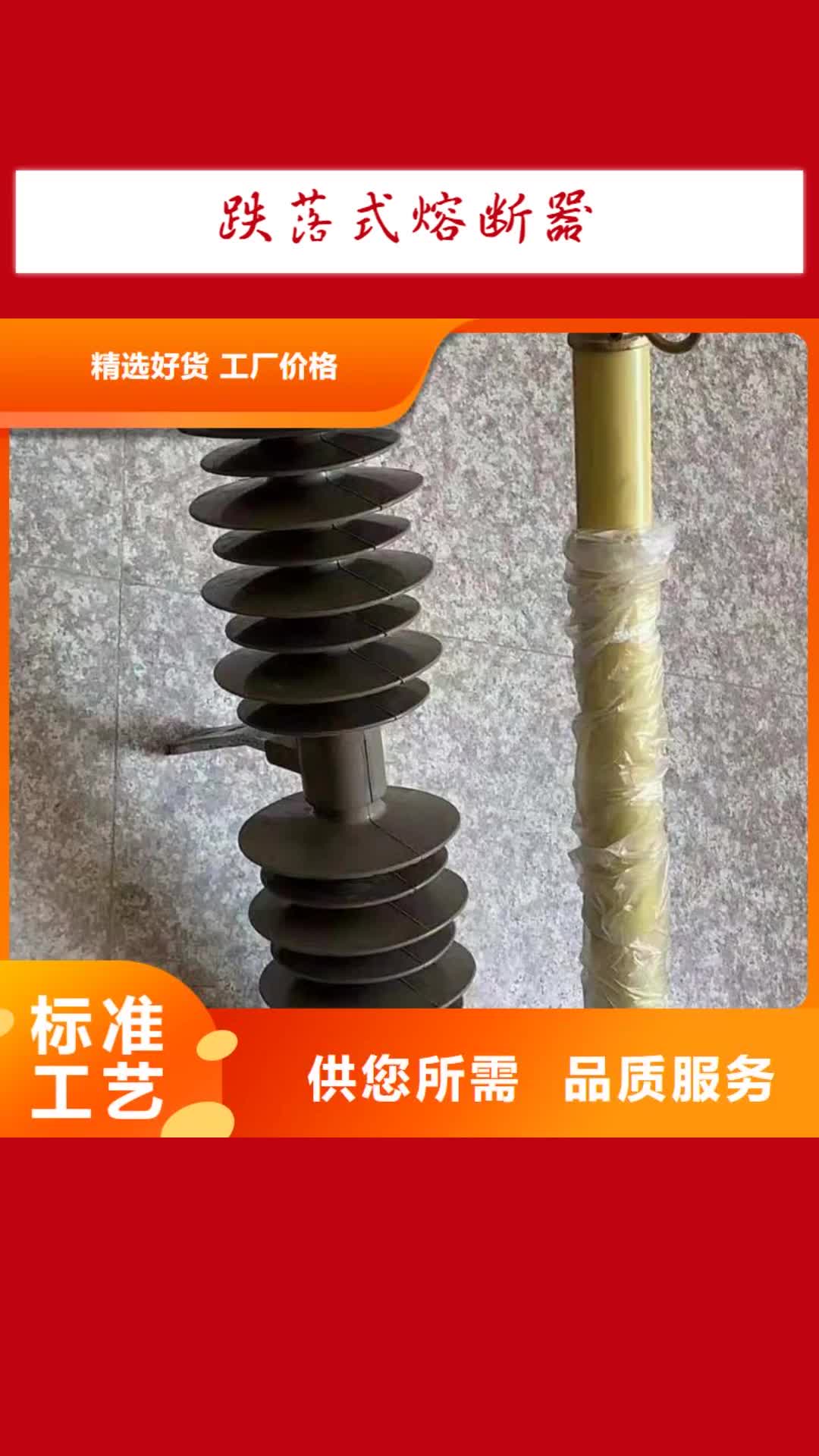 玉林【跌落式熔断器】-高压限流熔断器值得信赖