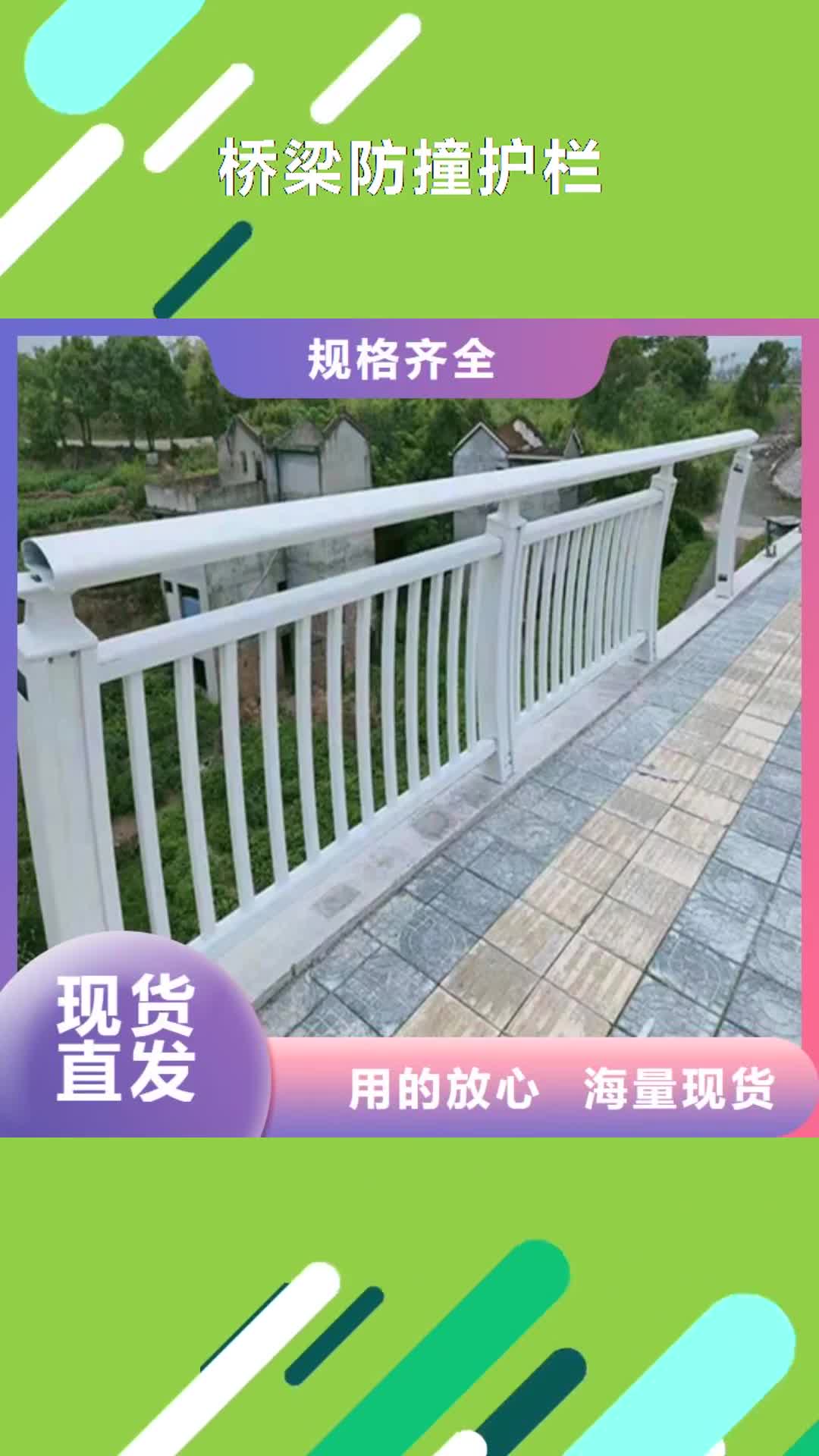 【邵阳 桥梁防撞护栏 景观灯光护栏厂家好厂家有担当】