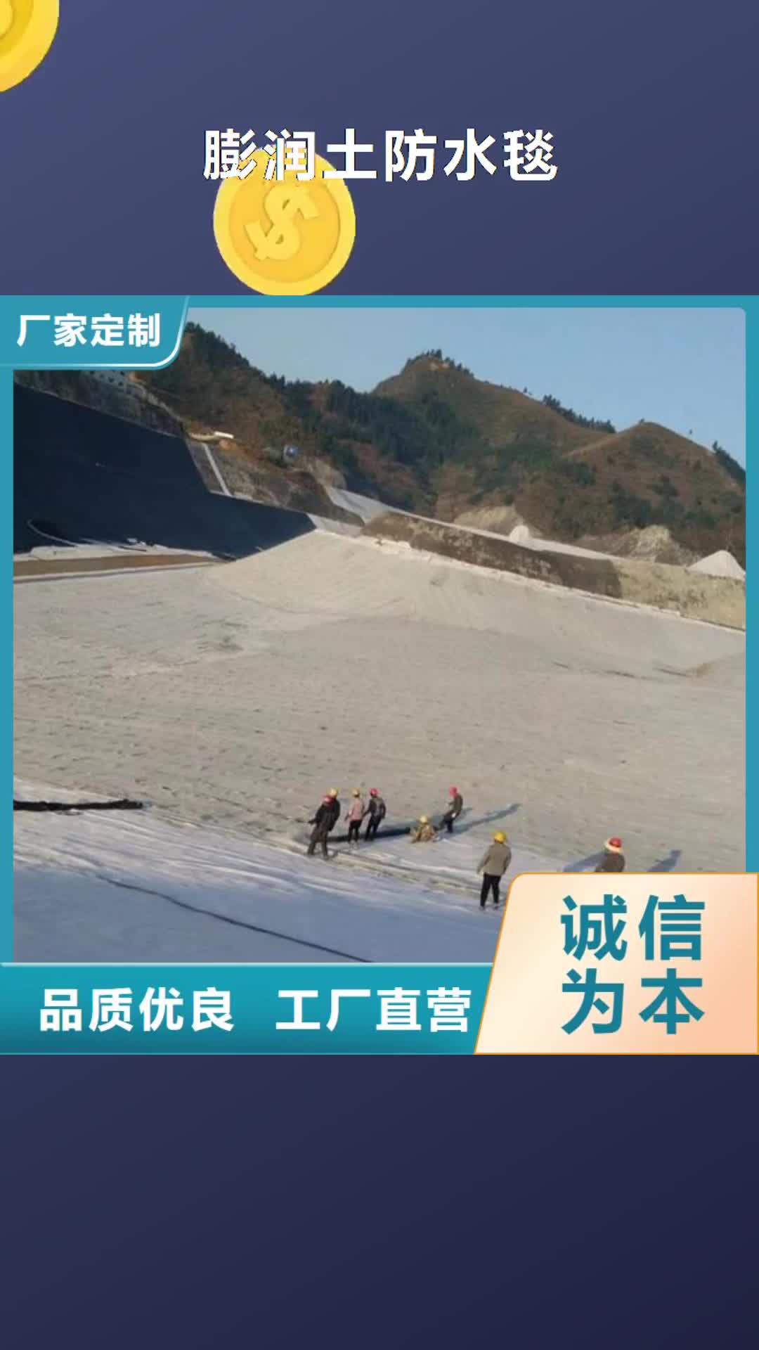 张掖【膨润土防水毯】_玻纤土工格栅款式新颖