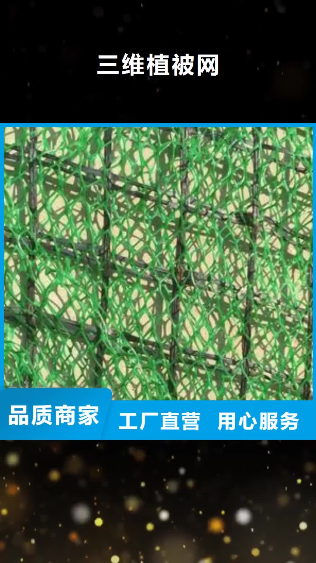 南昌【三维植被网】,玻纤格栅厂家供应