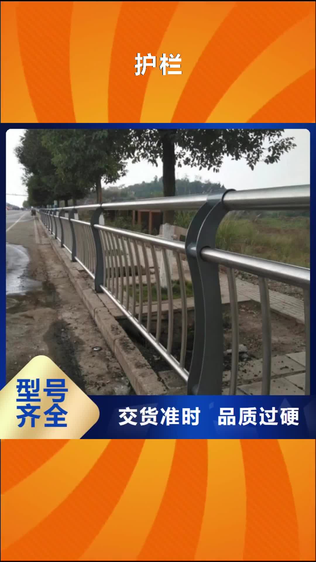 广州【护栏】,不锈钢护栏实地大厂