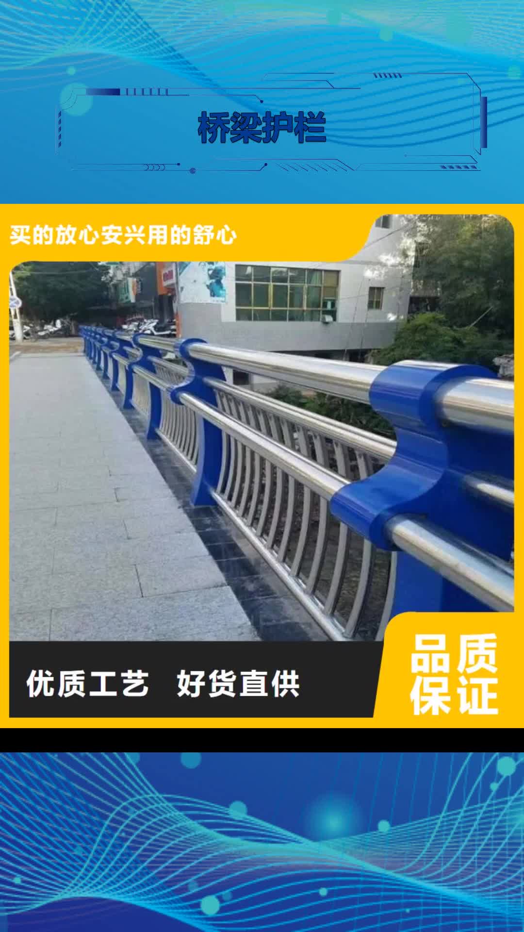 【上海 桥梁护栏-护栏专注生产制造多年】