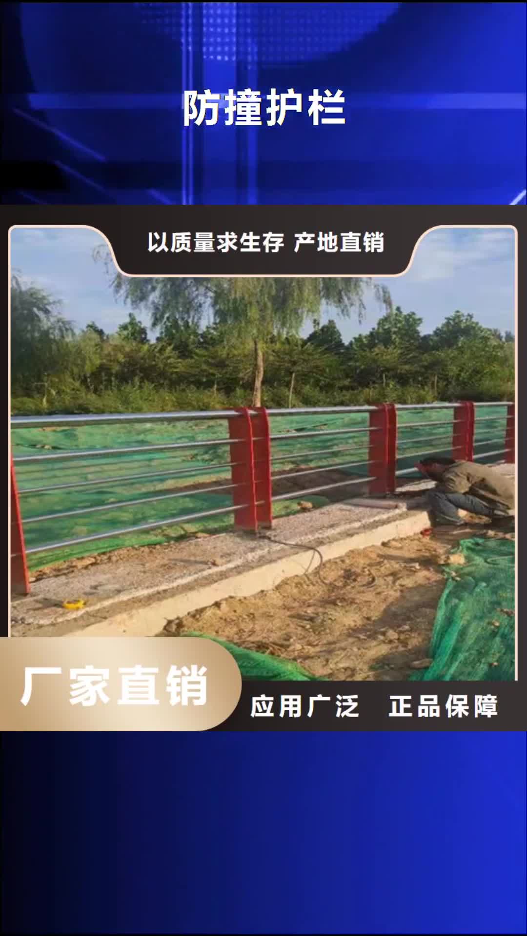 洛阳【防撞护栏】 不锈钢复合管道路栏杆品质保证实力见证