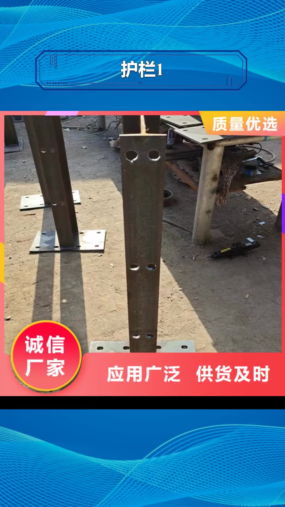 铜陵【护栏1】_桥梁护栏厂家专业生产制造厂