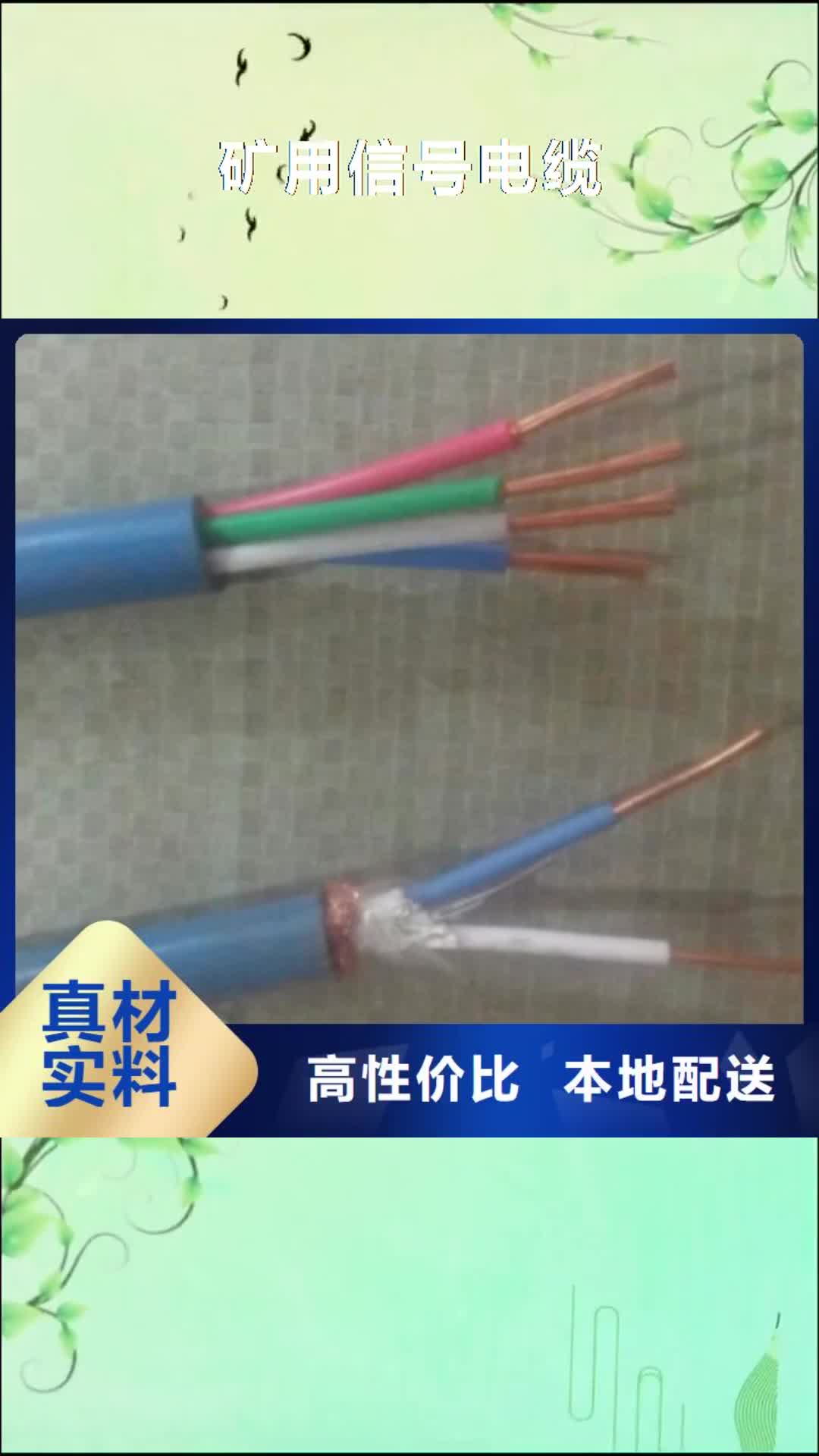 【天津 矿用信号电缆-屏蔽电缆专业生产设备】