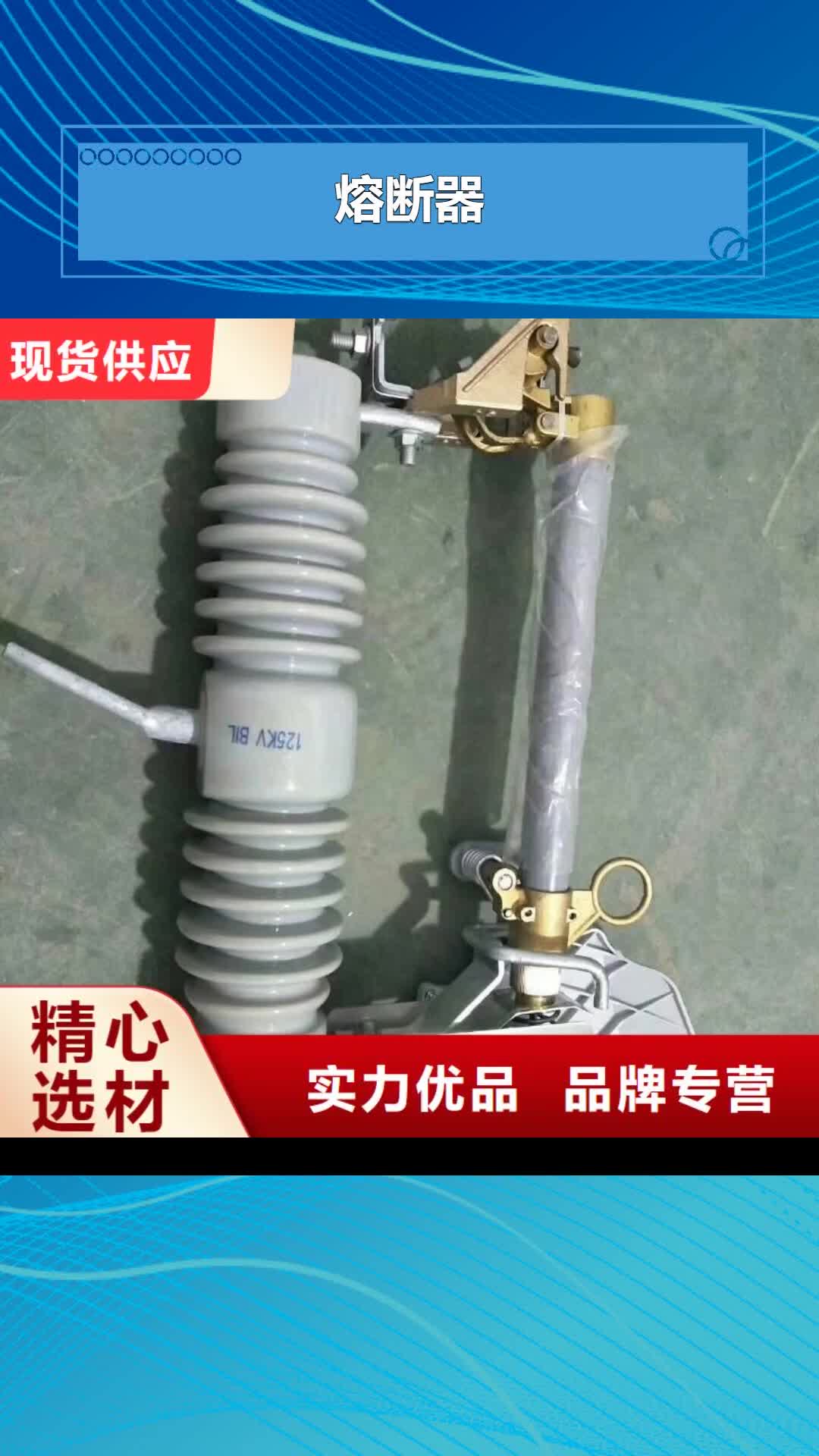 嘉兴 熔断器_【高低压电器】一致好评产品